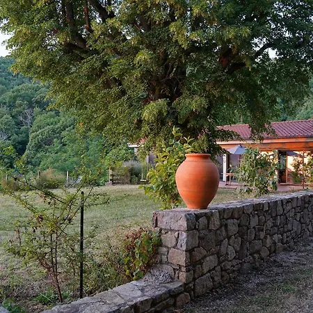 Mas Companyo - Vallespir - - Grand Mas Holiday home