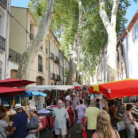 Holiday home Mas Companyo - Vallespir - - Grand Mas Ceret