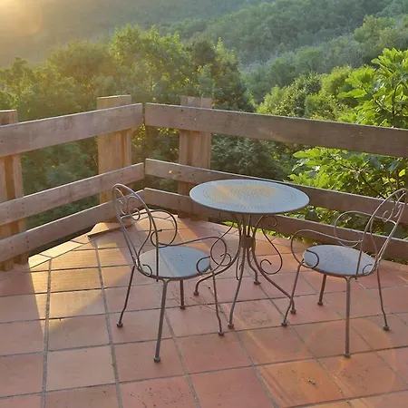 Mas Companyo - Vallespir - - Grand Mas Ceret